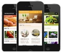 手機(jī)網(wǎng)站怎樣做才更有效果？如何做優(yōu)化？