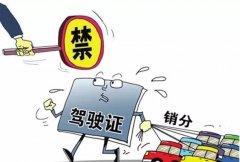 青島的朋友們注意啦，9月起禁止使用他人駕照銷