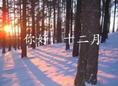 抓住2016年的尾巴給自己充充電！12月，加油！