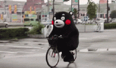 青島也有“共享單車”啦！說騎就騎的旅程GO